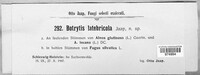 Botrytis latebricola image